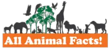 All Animal Facts