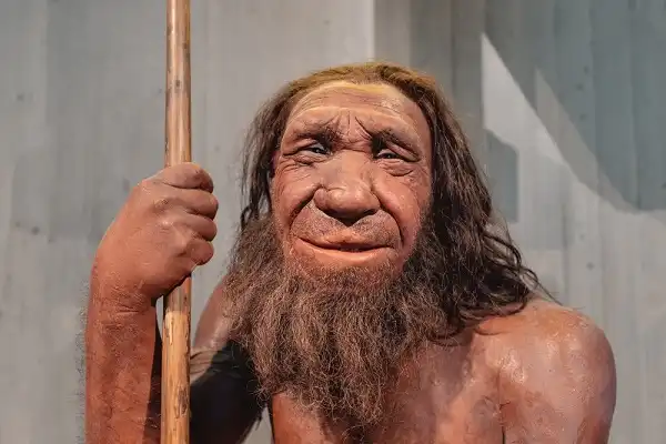 Neanderthal Facts