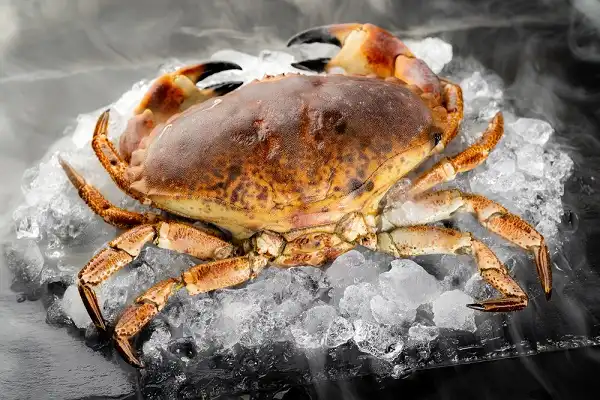 Stone Crab Image