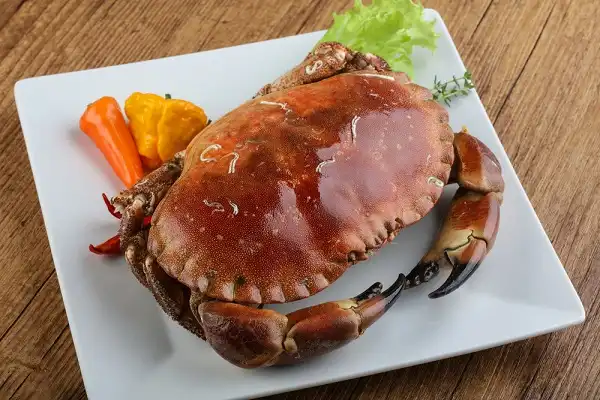 Stone Crab