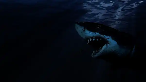 Megalodon Shark Picture